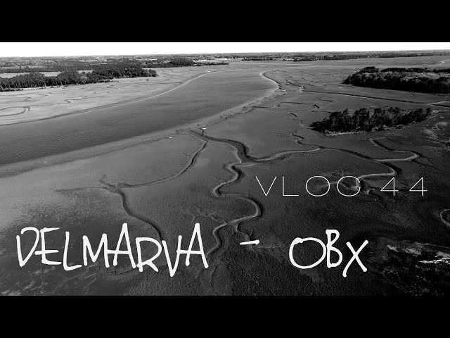 Wild Horses of Assateague Island and the Outer Banks | MOTM VLOG #44