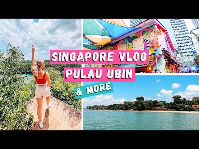 Things to do in Singapore Travel Vlog: Pulau Ubin & Hawker Market
