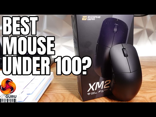 Endgame Gear XM2WE Gaming Mouse Review