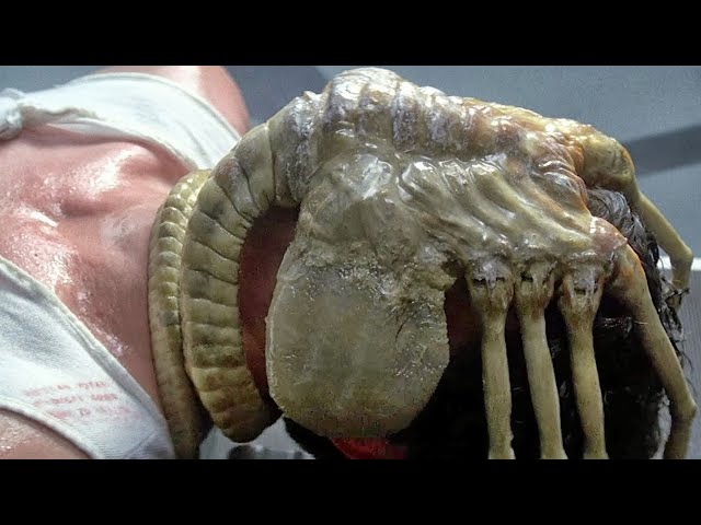 The 'Real' Alien: Romulus Facehuggers Are Nightmare Fuel