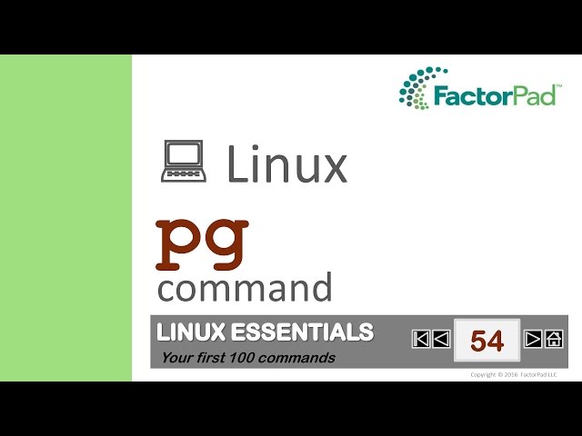 Linux pg command summary with examples