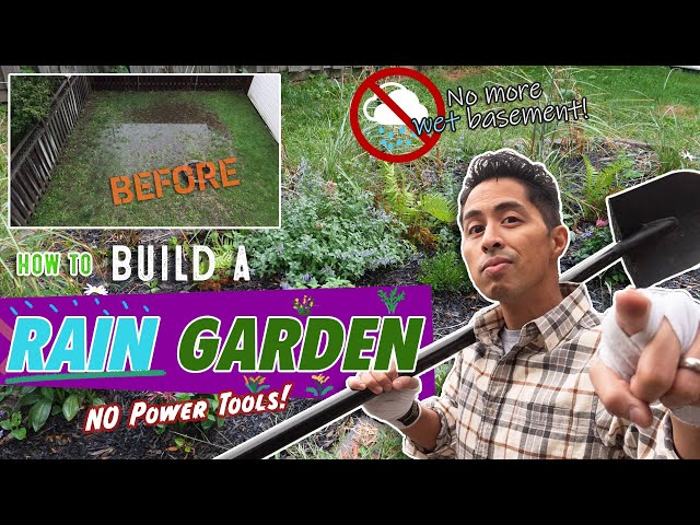 How to build a Rain Garden Step By Step Guide **NO POWER TOOLS**! Save $$ and no more wet basements!