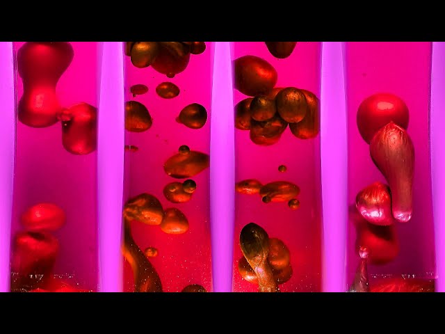 Lava Lamp Screensaver with Ambient Music