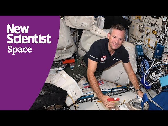 ISS livestream: Watch a live link-up with astronaut Andreas Mogensen