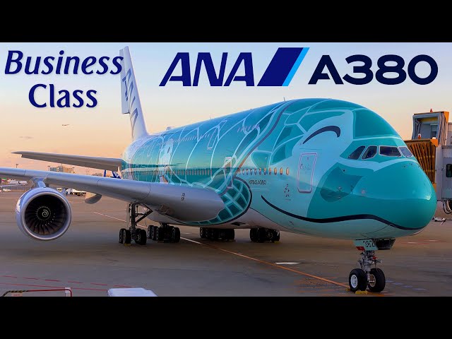 BUSINESS - ANA Airbus A380 ! 🇯🇵 Tokyo - Honolulu, Hawaii 🇺🇸 Upper Deck  [FULL FLIGHT REPORT]