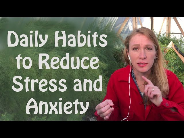 Daily Habits to Reduce Stress and Anxiety