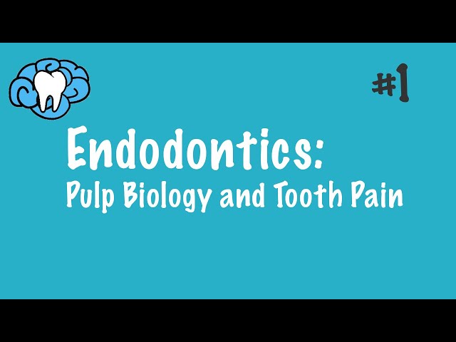 Endodontics | Pulp Biology and Tooth Pain | INBDE, ADAT