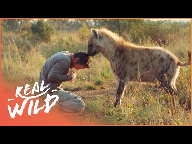 Spectacular Animal-Human Relationships | Animal Odd Couples | Real Wild