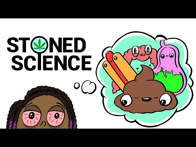 Stoned Girl Tries To Explain the Digestive System | STONED SCIENCE