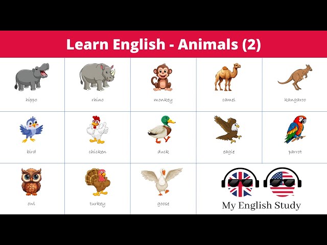 Learn English Vocabulary #42 | Animal Names in English | 🐶🐱🐰