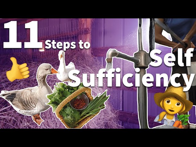 11 Steps to Self Sufficiency