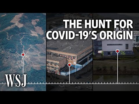 Wuhan Lab Hypothesis or Animal-Human Leap? The Hunt for Covid-19’s Origins | WSJ