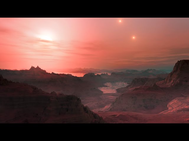 Exploring the Gliese 667 System