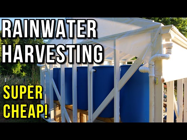 COMPLETE Rainwater System START TO FINISH - DIY Greenhouse Build #10