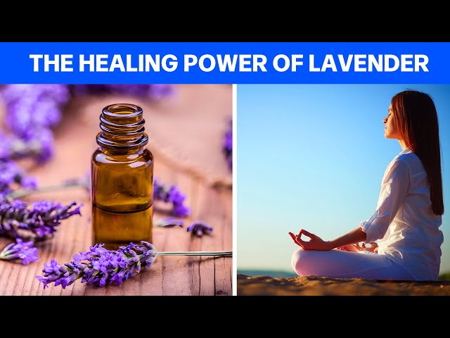 The Healing Power of Lavender: Uses and Benefits