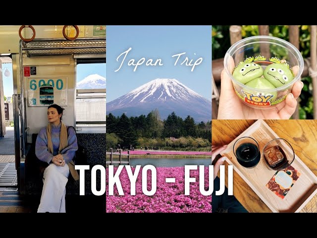 Exploring Tokyo & Fuji with me! | 10 days in Japan, Part 1