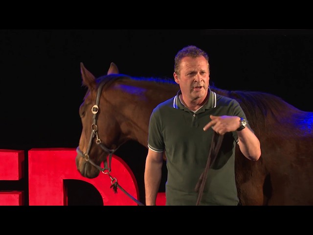 Wisdom of the herd | Ruud Knaapen | TEDxApeldoorn