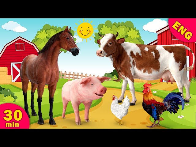 30 MIN Farm animals for Kids Animal song Fnimal name & sound