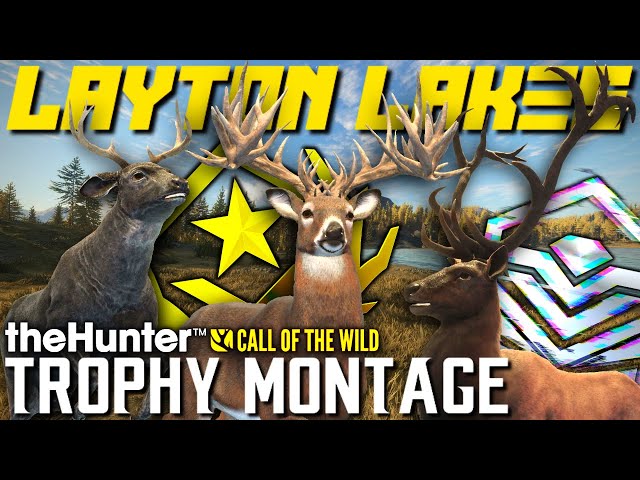 LAYTON MONTAGE! My ALL TIME Best Trophies & Reactions From Layton Lake District! | Call of the Wild