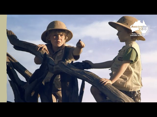 Young Robert Irwin on safari | Irwin Family Adventures