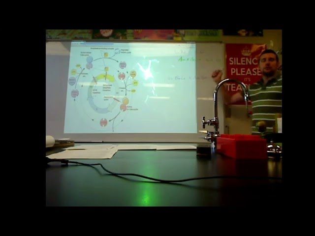 AP Biology (2016-01-13) - 3.A