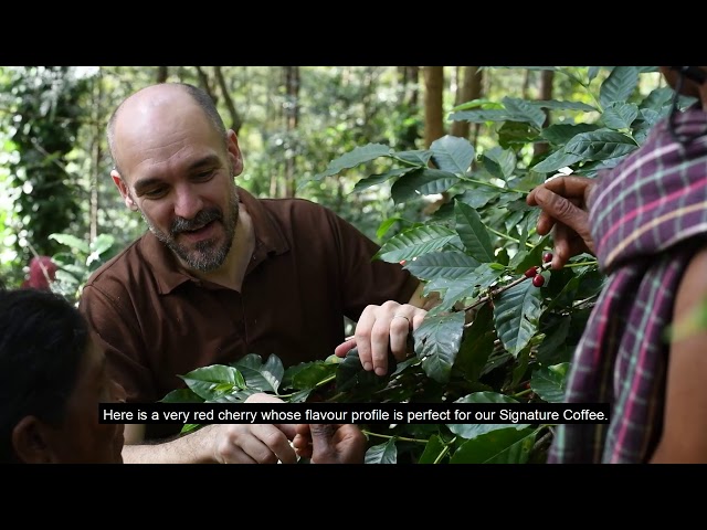 How Does ARAKU Signature Coffee Get Its Signature Flavour?