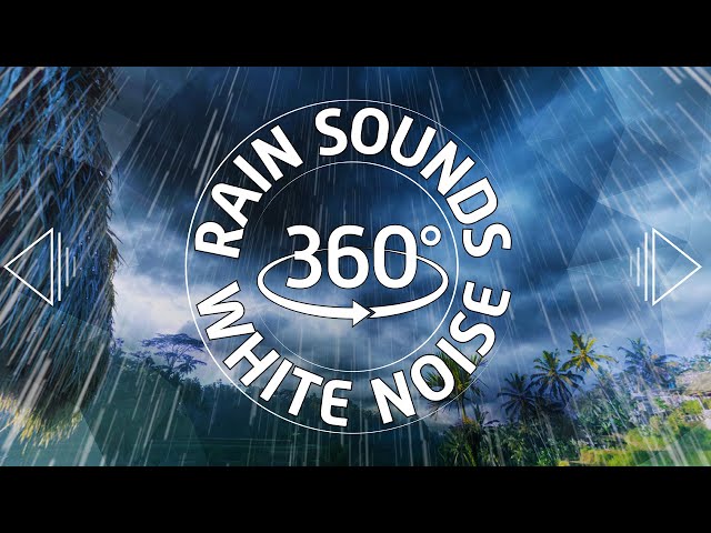 Rain Sounds 360 Video ☔ White Noise for Sleeping VR 10 Hours