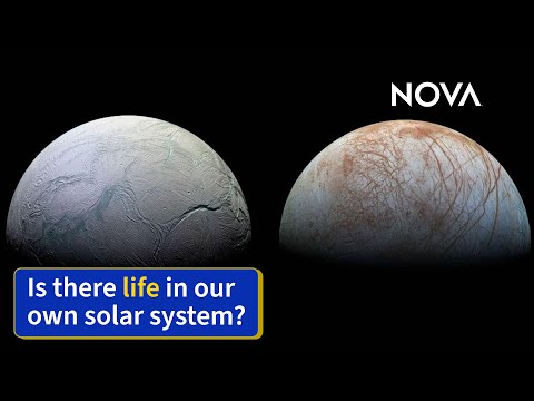 Short Clips: Outer Space | NOVA | PBS