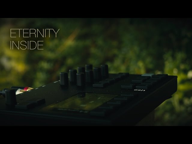 eternity inside ... Torso Electronics S4 ... ambient