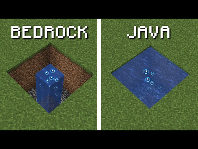 Java vs Bedrock - (BEST OF FUN FACTS)