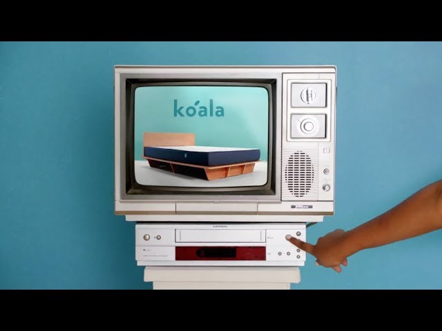 Koala — Company Brand Video