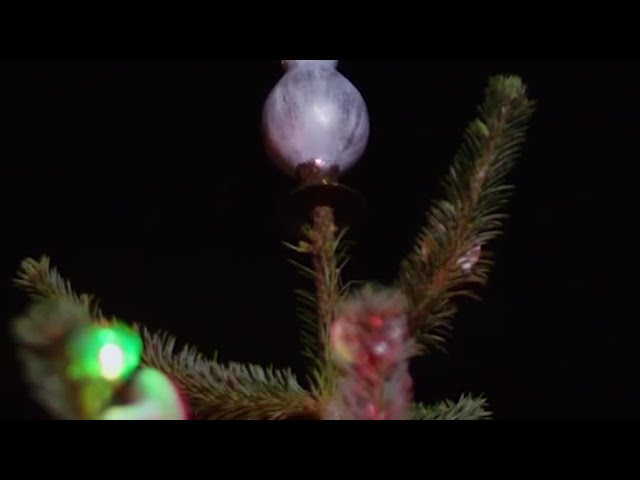 Amanda Brooks' Very Fungi Christmas Tree | Christmas in the Cotswolds