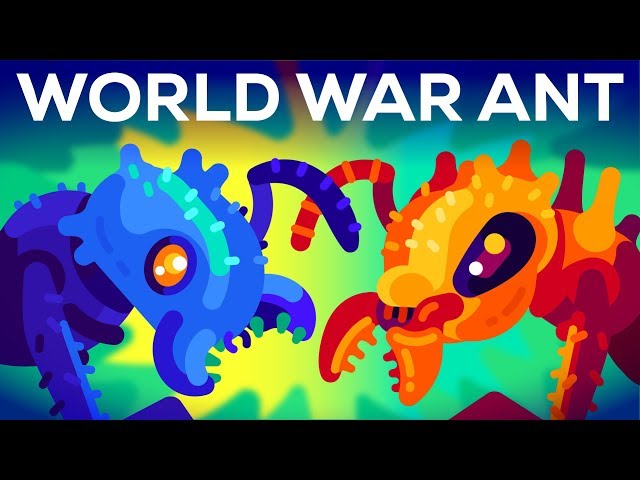 The World War of the Ants – The Army Ant