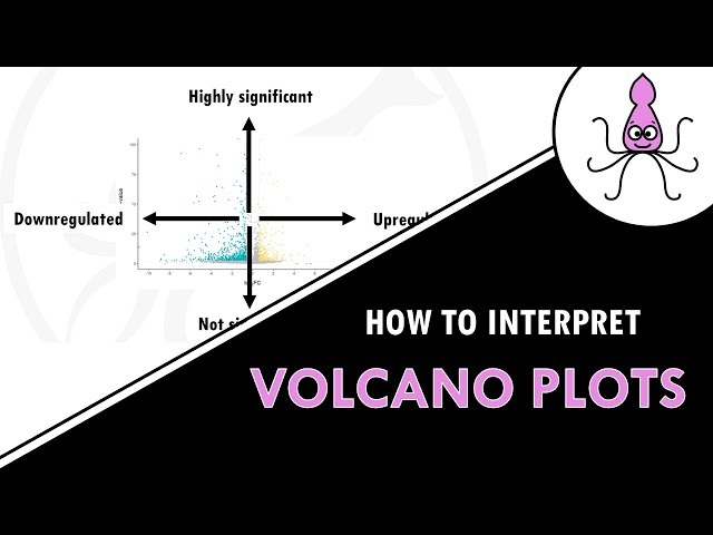 Volcano plots explained | How to interpret a volcano plot for DGE