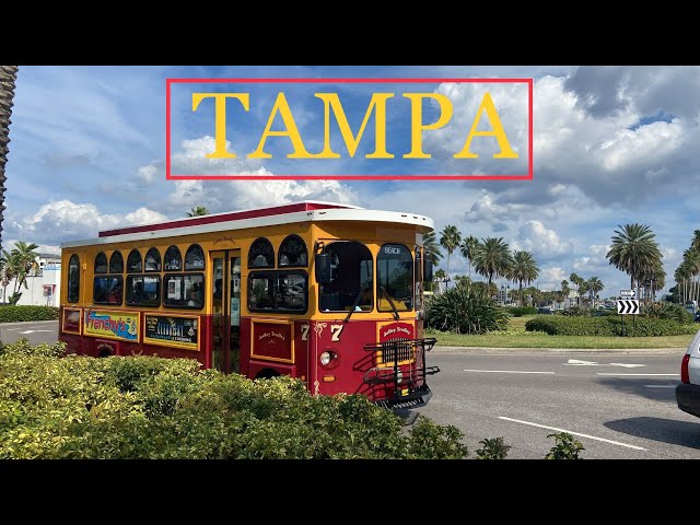 How does Tampa FL USA look like?