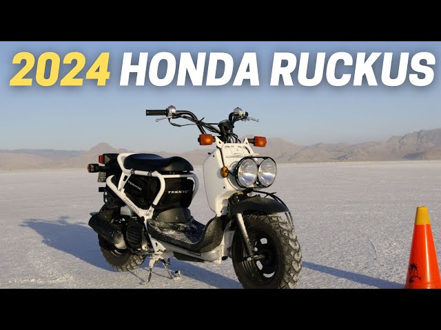 10 Things You Need To Know Before Buying The 2024 Honda Ruckus