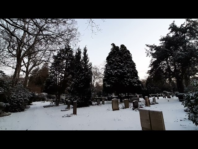 snowy cemetery morning