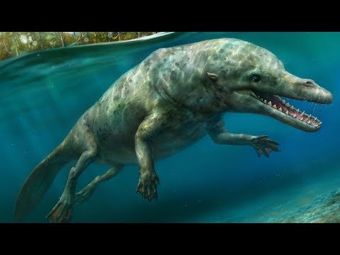 Paeloantology- non dinosaur