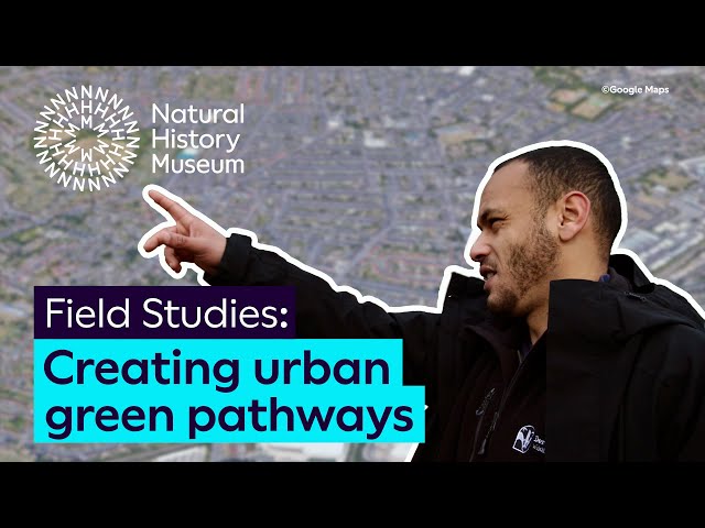 Creating urban green pathways | Field Studies