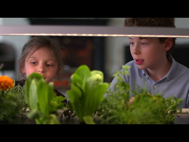 Growing Your Own Food Indoors - BBC Click