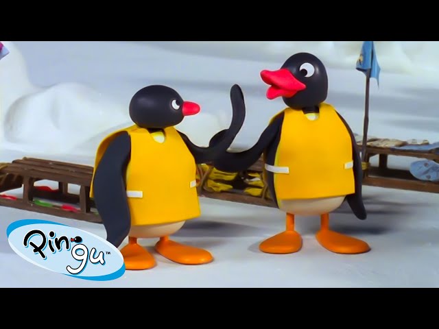 Pingu Uses Teamwork 🐧 | Pingu - Official Channel | Cartoons For Kids