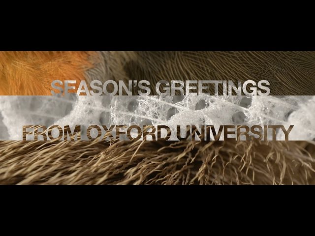 Christmas Through the Microscope: Season's greetings from Oxford University