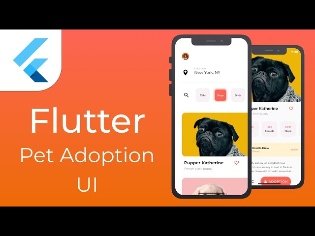 Flutter Pet Adoption UI | Speed Code
