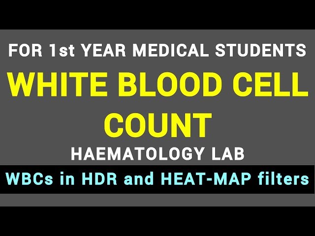 WHITE BLOOD CELL COUNT | HAEMATOLOGY LAB | BLOOD PHYSIOLOGY PRACTICAL