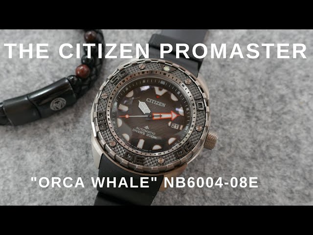 Review Of The Citizen Promaster "Orca Whale" Automatic Divers Watch - NB6004-08E