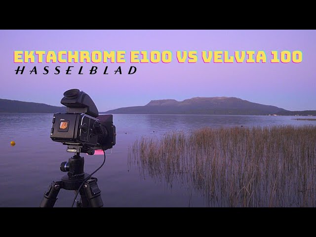 Kodak Ektachrome E100 vs Fuji Velvia 100