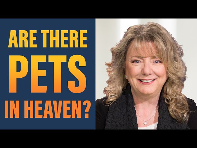 Frequently Asked Questions About Heaven