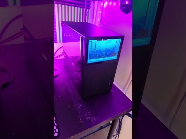 this PC has a screen in it