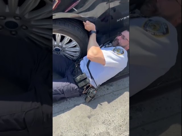 Kitten rescued from underneath car by NYPD in Brooklyn