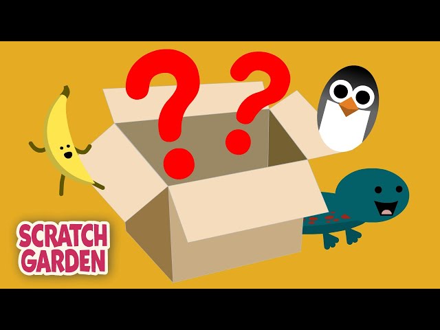 What is in the Box? | Counting Video | Scratch Garden